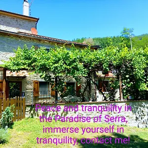 villa-the-house-in-the-paradise-of-serra.it-tuscanyhotel.com/